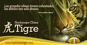 Tigre